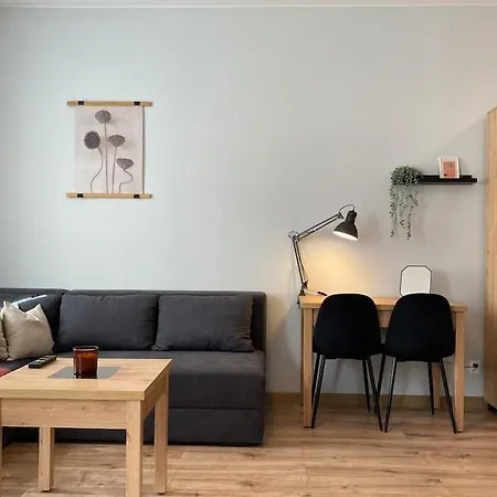 Apartment Gorna 33 *